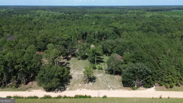 1046 Homer Bunch Road, Statesboro, GA 30461