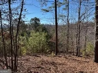 0 Mile High Ln, Blairsville, GA 30512 - #2