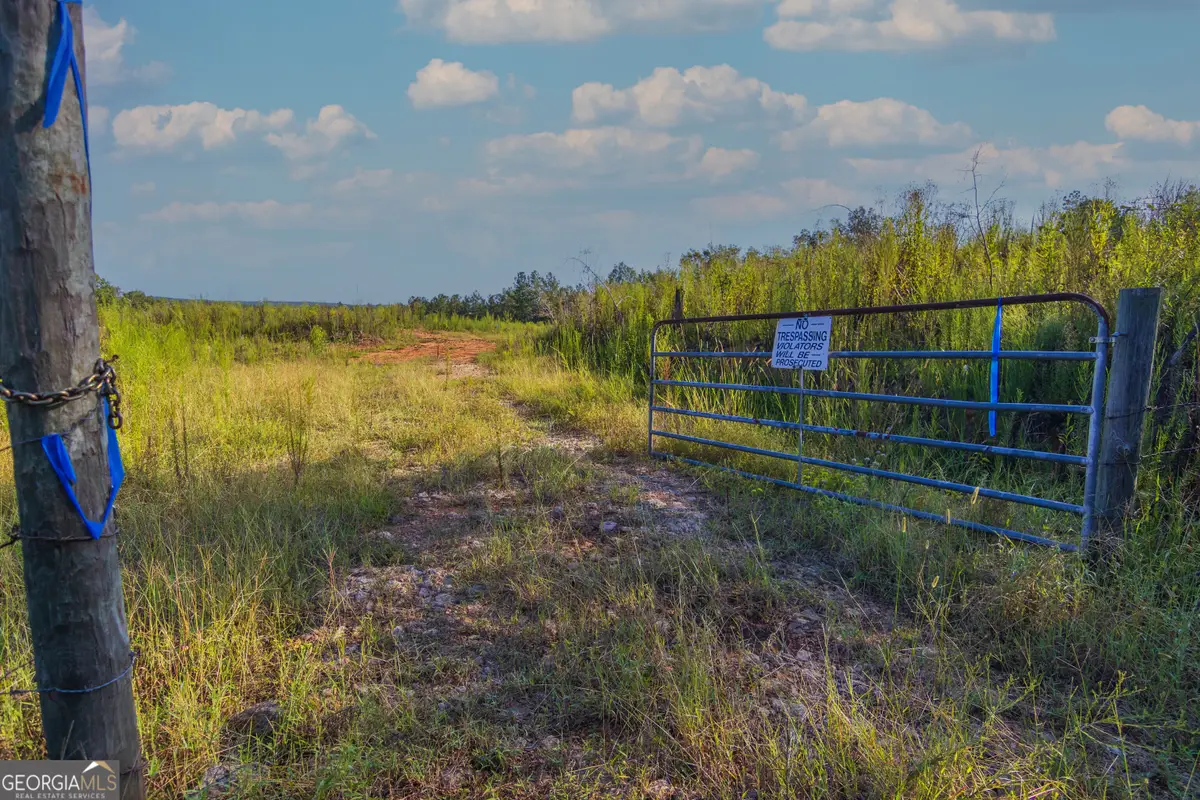 TRACT 1 Highway 0036, Woodland, GA 31836 - #1