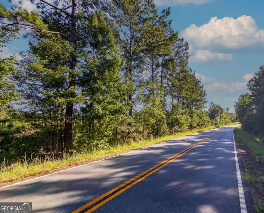 TRACT 4 Highway 0036, Woodland, GA 31836 - #2