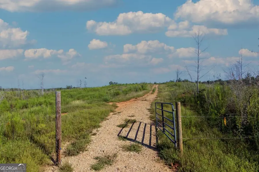 TRACT 4 Highway 0036, Woodland, GA 31836 - #3
