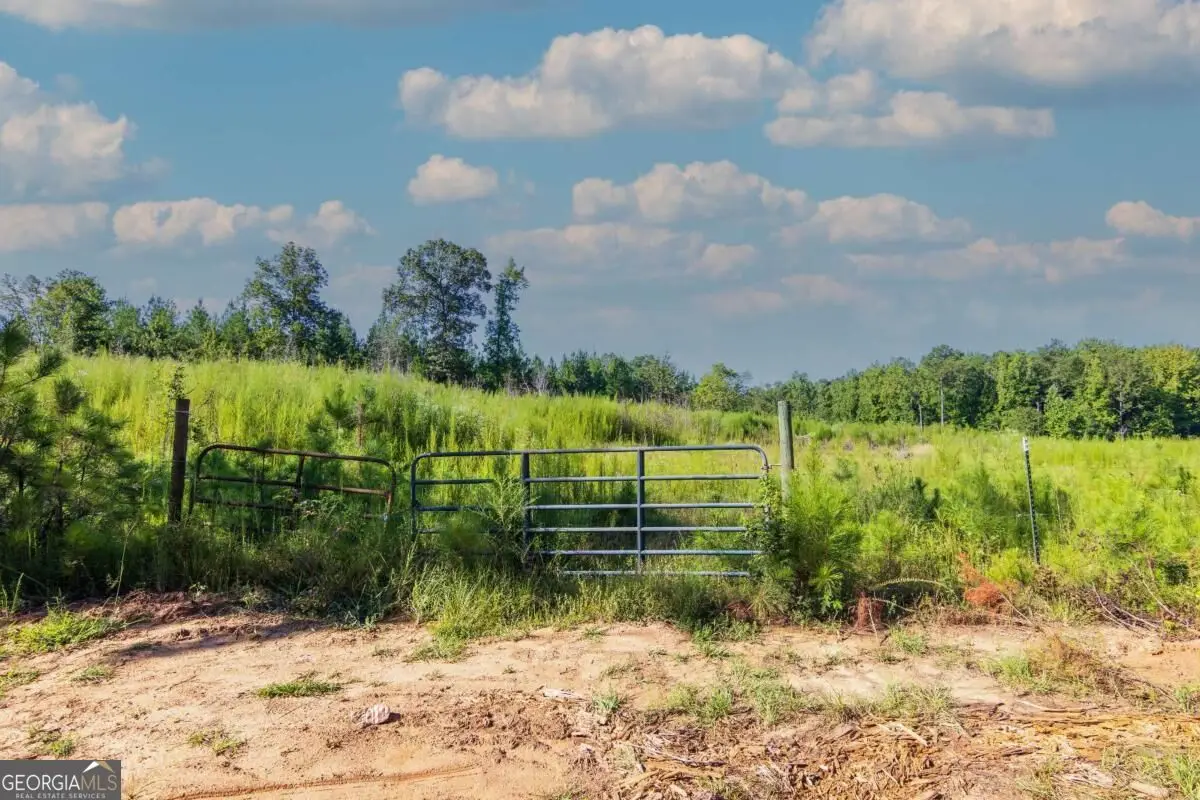 TRACT 8 Carlisle Gap Road, Woodland, GA 31836 - #1
