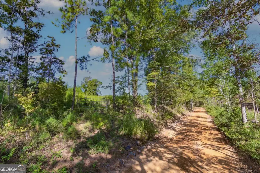 TRACT 8 Carlisle Gap Road, Woodland, GA 31836 - #2
