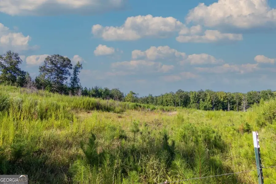 TRACT 8 Carlisle Gap Road, Woodland, GA 31836 - #3