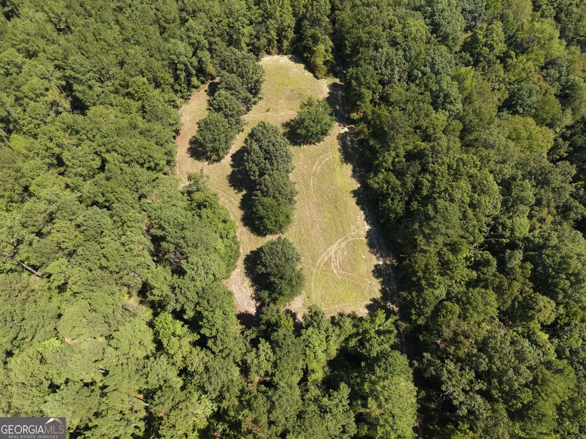 0 Highway 102, Warthen, GA 31094 - #1