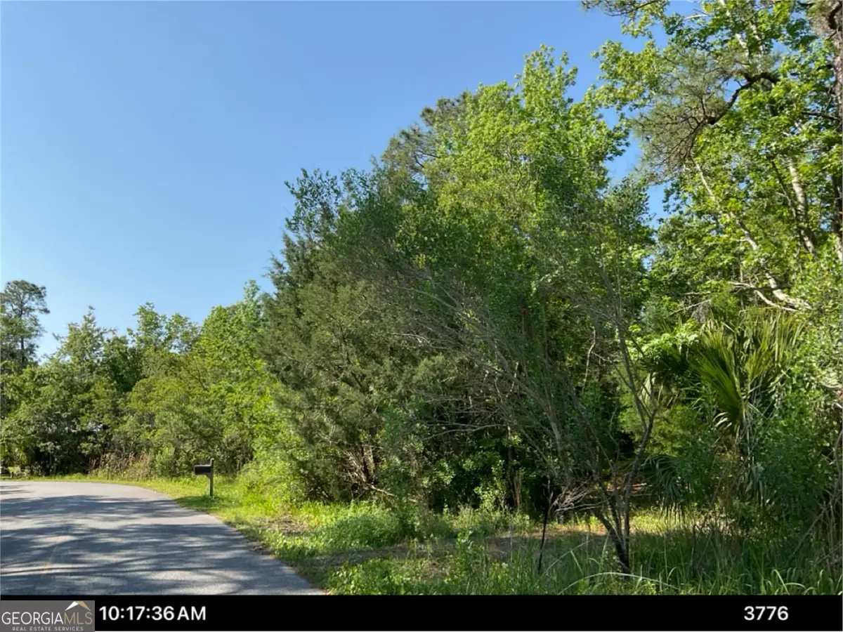 0 Point Peter Place, Saint Marys, GA 31558 - #1