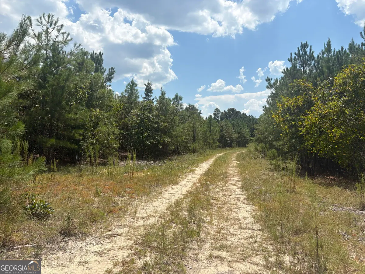 L12 N Indian Trail Road, Sandersville, GA 31082 - #1