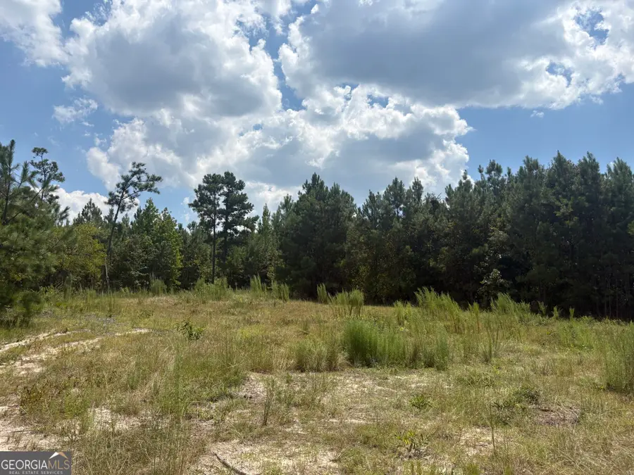 L12 N Indian Trail Road, Sandersville, GA 31082 - #3