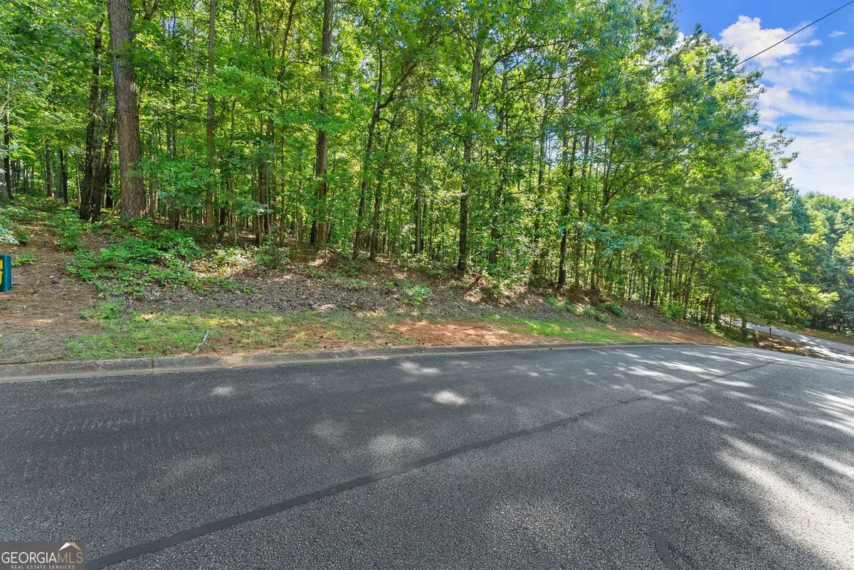 786 Cherry Court #718, Clarkesville, GA 30523 - #1