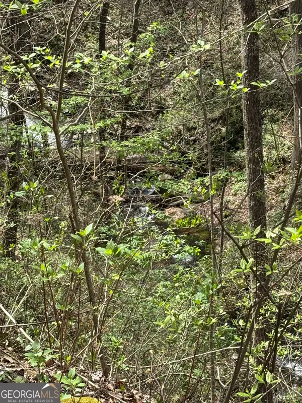 0 Laurel Branch, Dawsonville, GA 30534