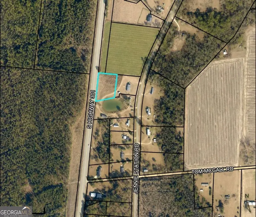 LOT 1 Us-301, Claxton, GA 30417 - #2