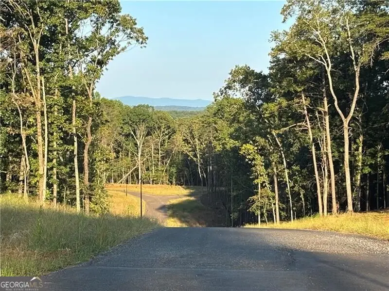 LOT 1 Norton Ridge, Dahlonega, GA 30533 - #3