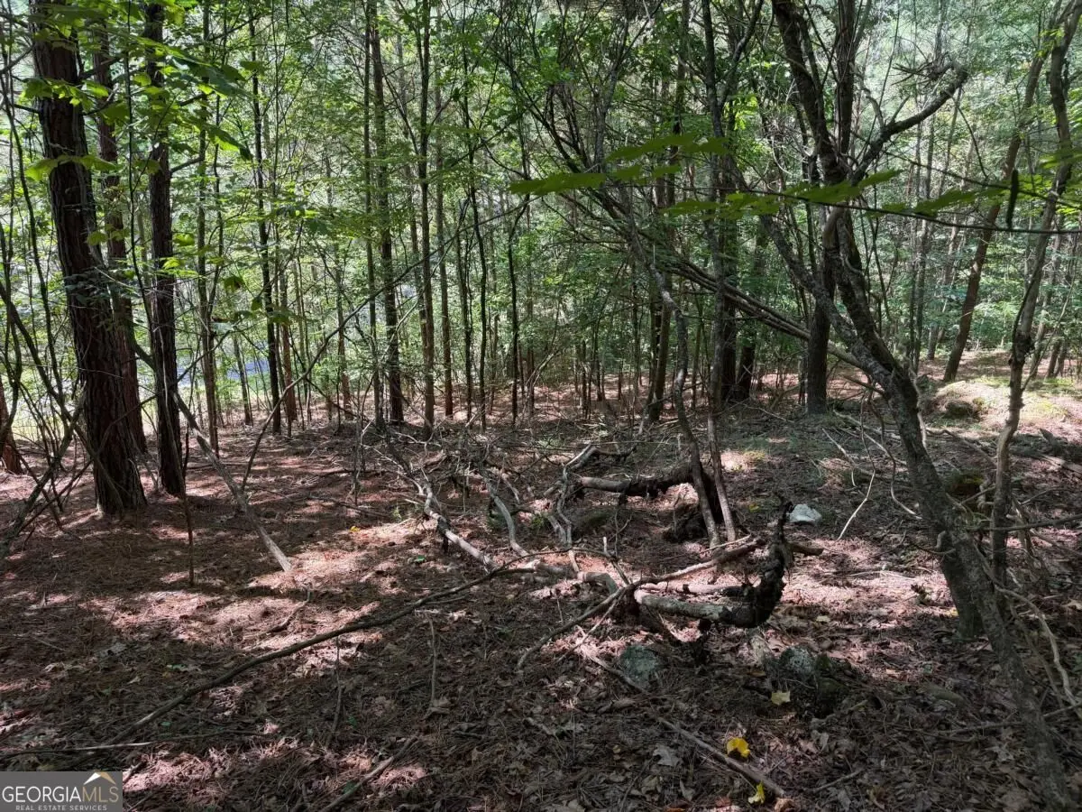 LOT 25 Trailwood Drive, Blairsville, GA 30512 - #1