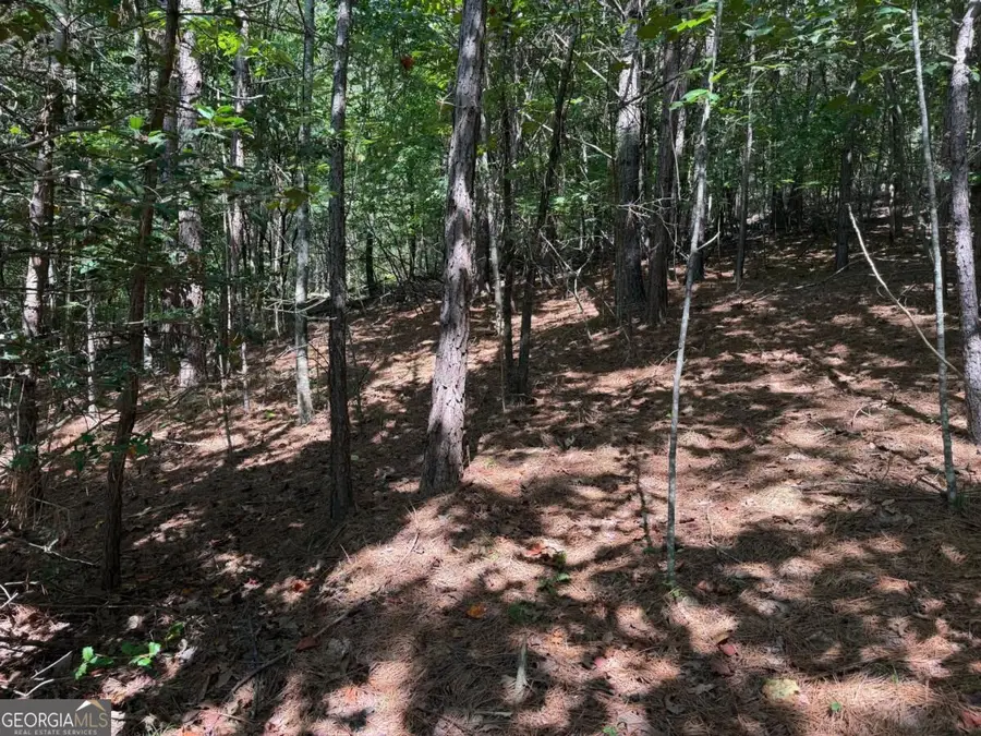 LOT 25 Trailwood Drive, Blairsville, GA 30512 - #3