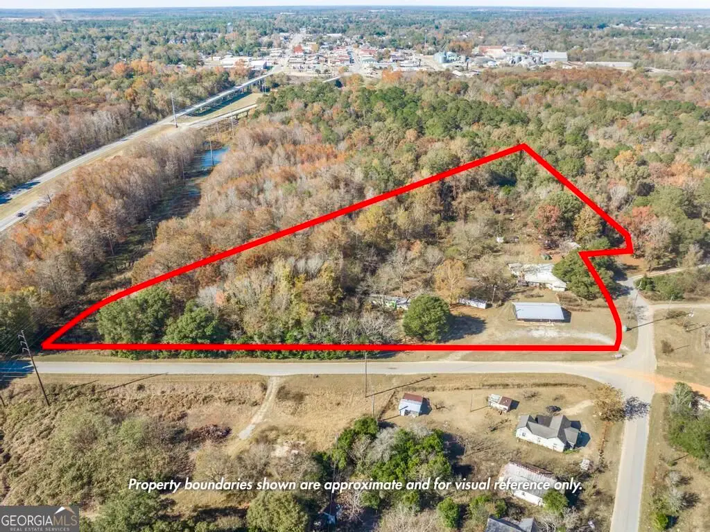 51 Louie Blount Road, Hawkinsville, GA 31036 - #1
