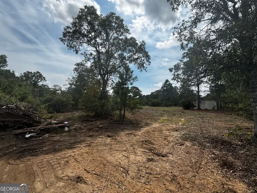 1013 Blasingame Road, Fort Valley, GA 31030 - #3