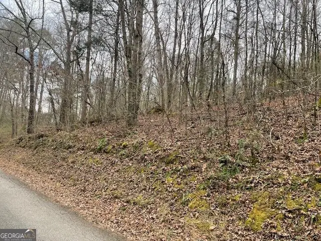0 Wooten Lane, Chickamauga, GA 30707 - #2