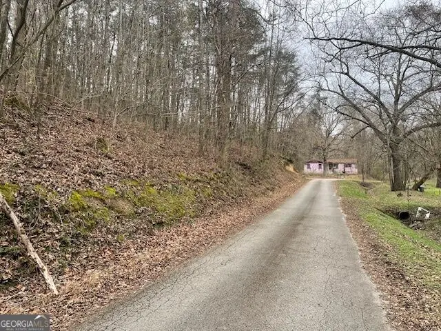 0 Wooten Lane, Chickamauga, GA 30707 - #3