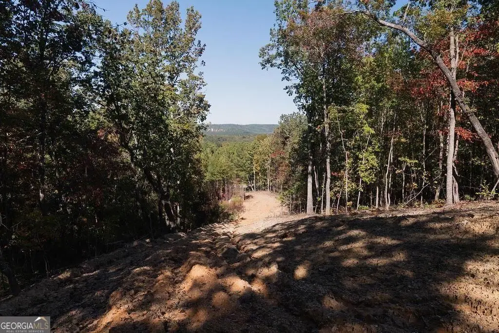 34 E Heritage Drive Ne, Rydal, GA 30171 - #1
