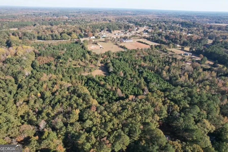 125 Karen Drive, McDonough, GA 30252 - #2