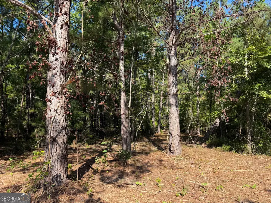 0 Pig Road, Bartow, GA 30413 - #2