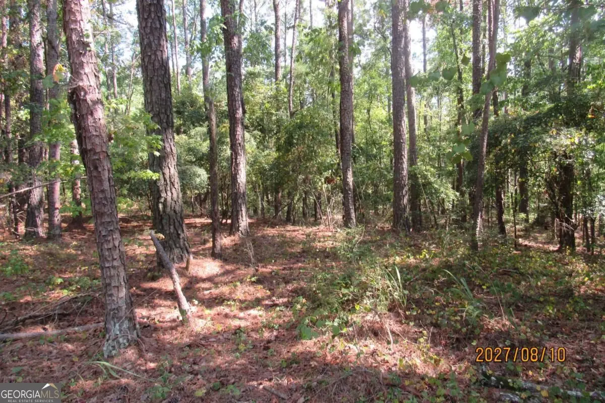 704 S Chickasaw Trail Sw, Sparta, GA 31087 - #1
