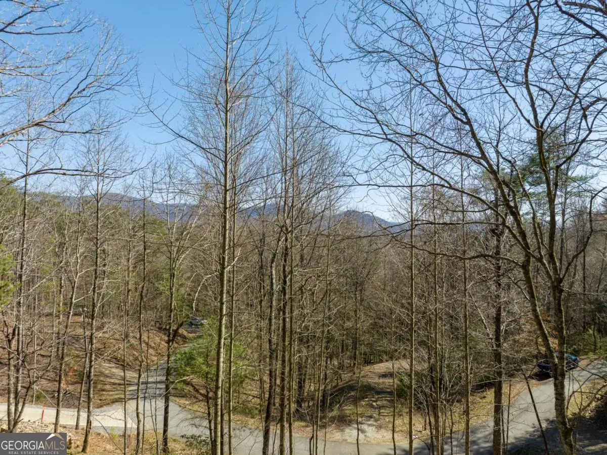 LOT 508 Chicasaw Drive, Ellijay, GA 30540 - #1