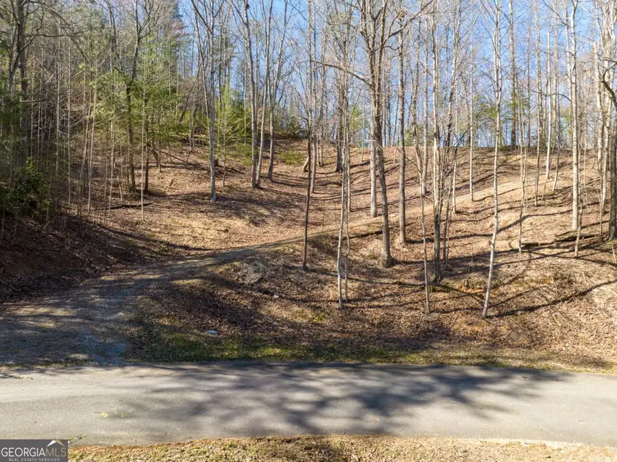 LOT 508 Chicasaw Drive, Ellijay, GA 30540 - #3