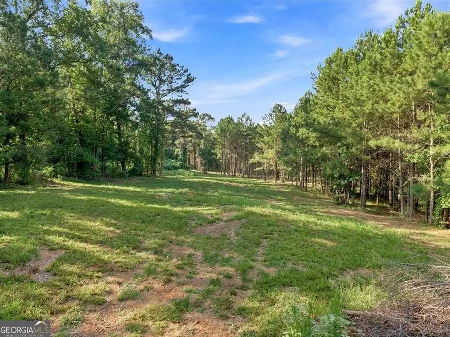 283 Leo Taylor Lane, Ball Ground, GA 30107 - #2