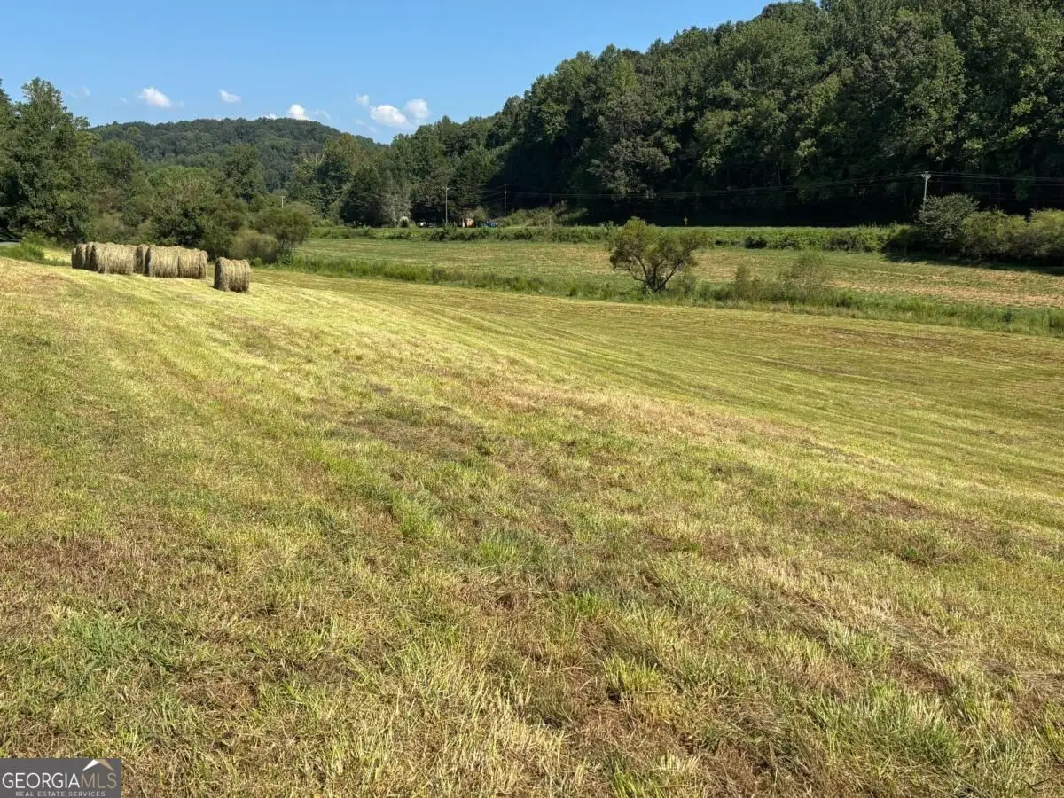 13 AC Aruthur Anderson Road, Dahlonega, GA 30533 - #1