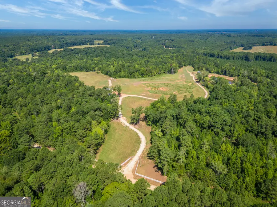 692 Hutchins Wolfskin Road, Stephens, GA 30667 - #2