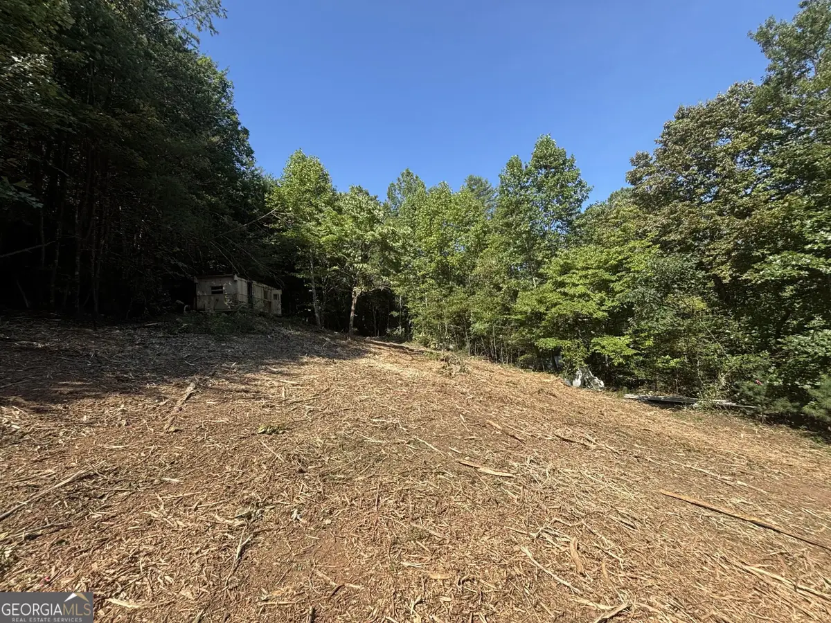 1565 Davis Road, Hiawassee, GA 30546 - #1