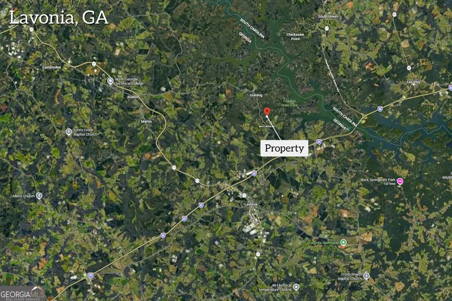 0 Ridgeview Court, Lavonia, GA 30553 - #3