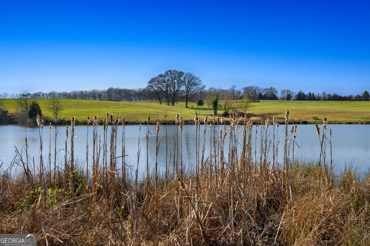 10 Ridgeview Point, Hartwell, GA 30643 - #1