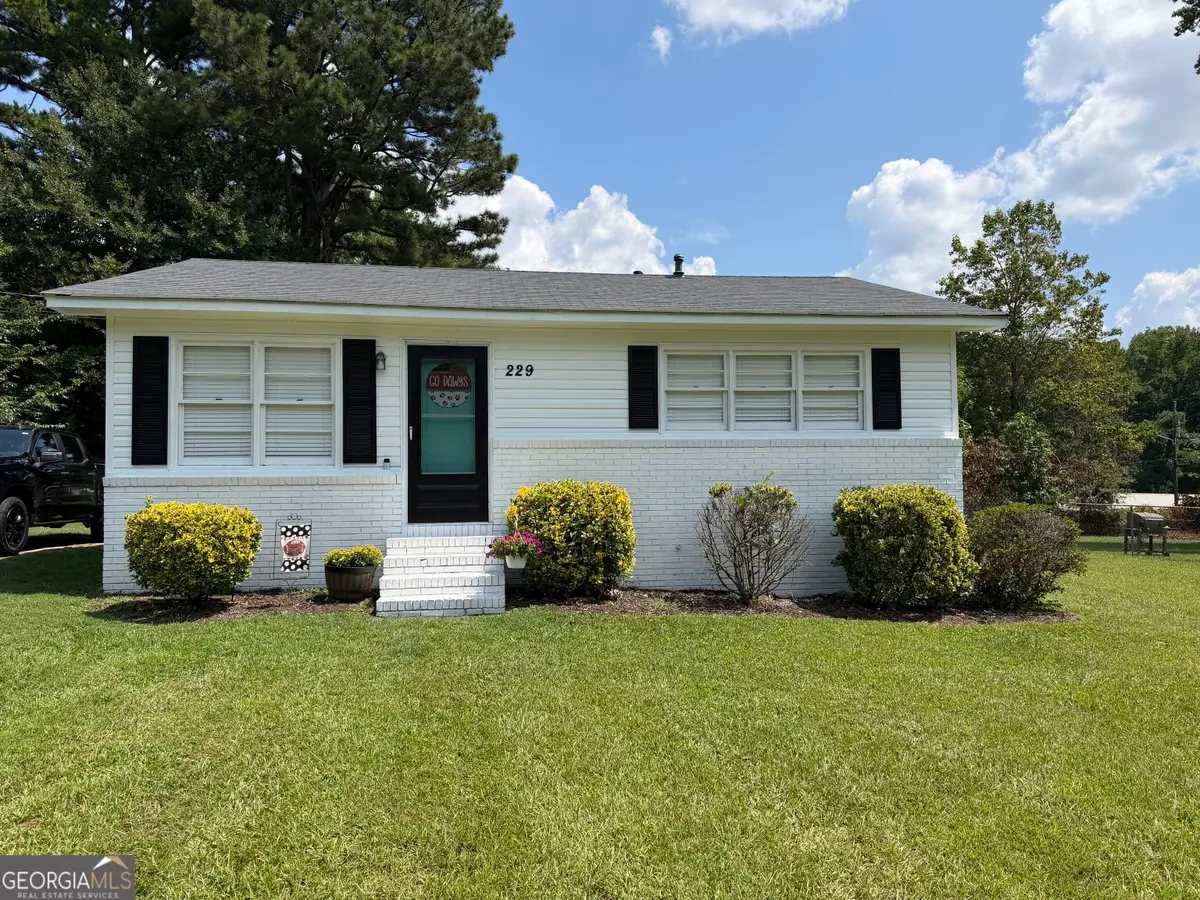 229 Church Street, Bremen, GA 30110 - #1