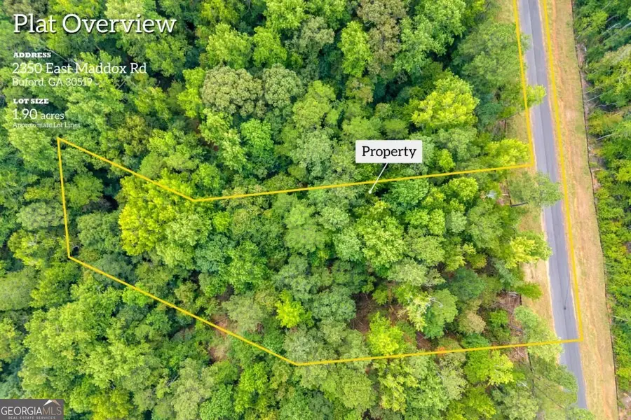 2350 East Maddox Road, Buford, GA 30519 - #3