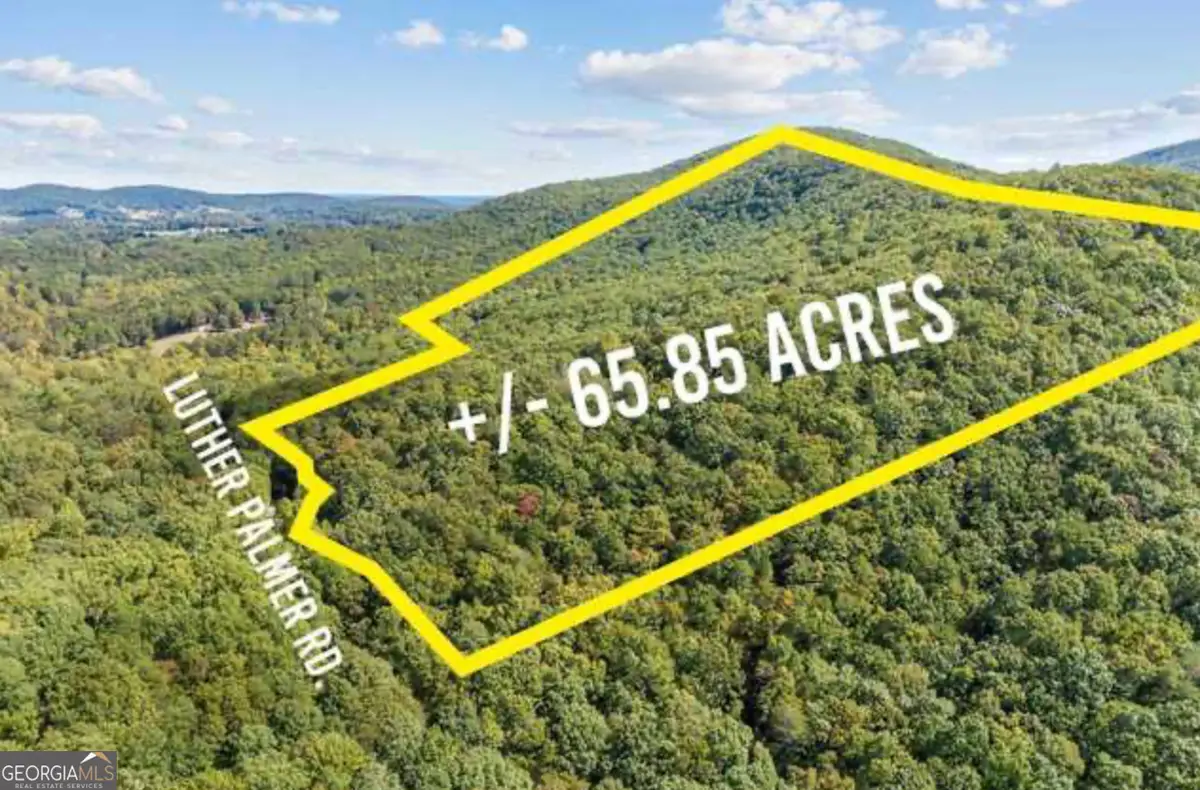 LOT 24 Luther Palmer Road, Cleveland, GA 30528 - #1