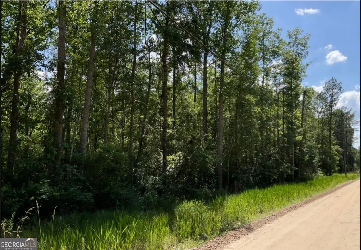 485 James Knight Road, Jesup, GA 31545 - #1