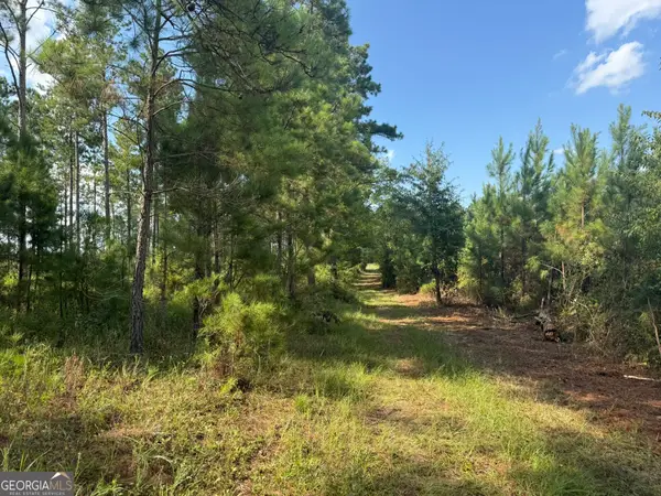 002 George Milling Road, Cuthbert, GA 39840