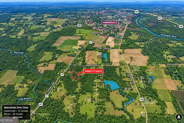 2.4 ACRES Flamingo Estate, Hawkinsville, GA 31036