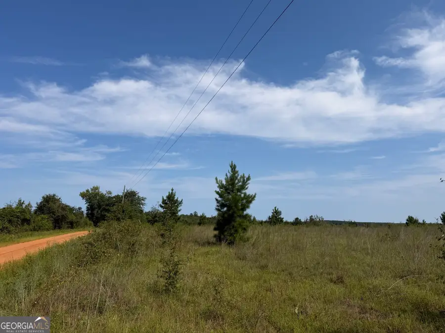 005 Long Branch Road, Toomsboro, GA 31090 - #2