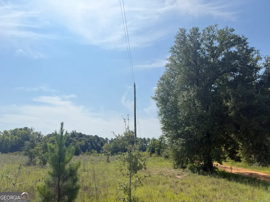005 Long Branch Road, Toomsboro, GA 31090 - #3