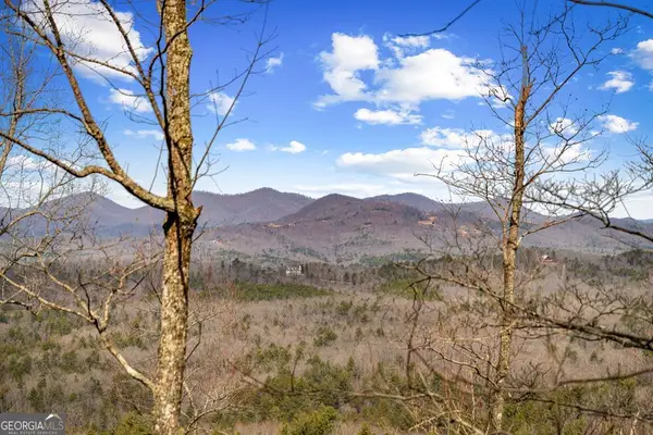LOT 20 Raven Ridge Circle, Mineral Bluff, GA 30559