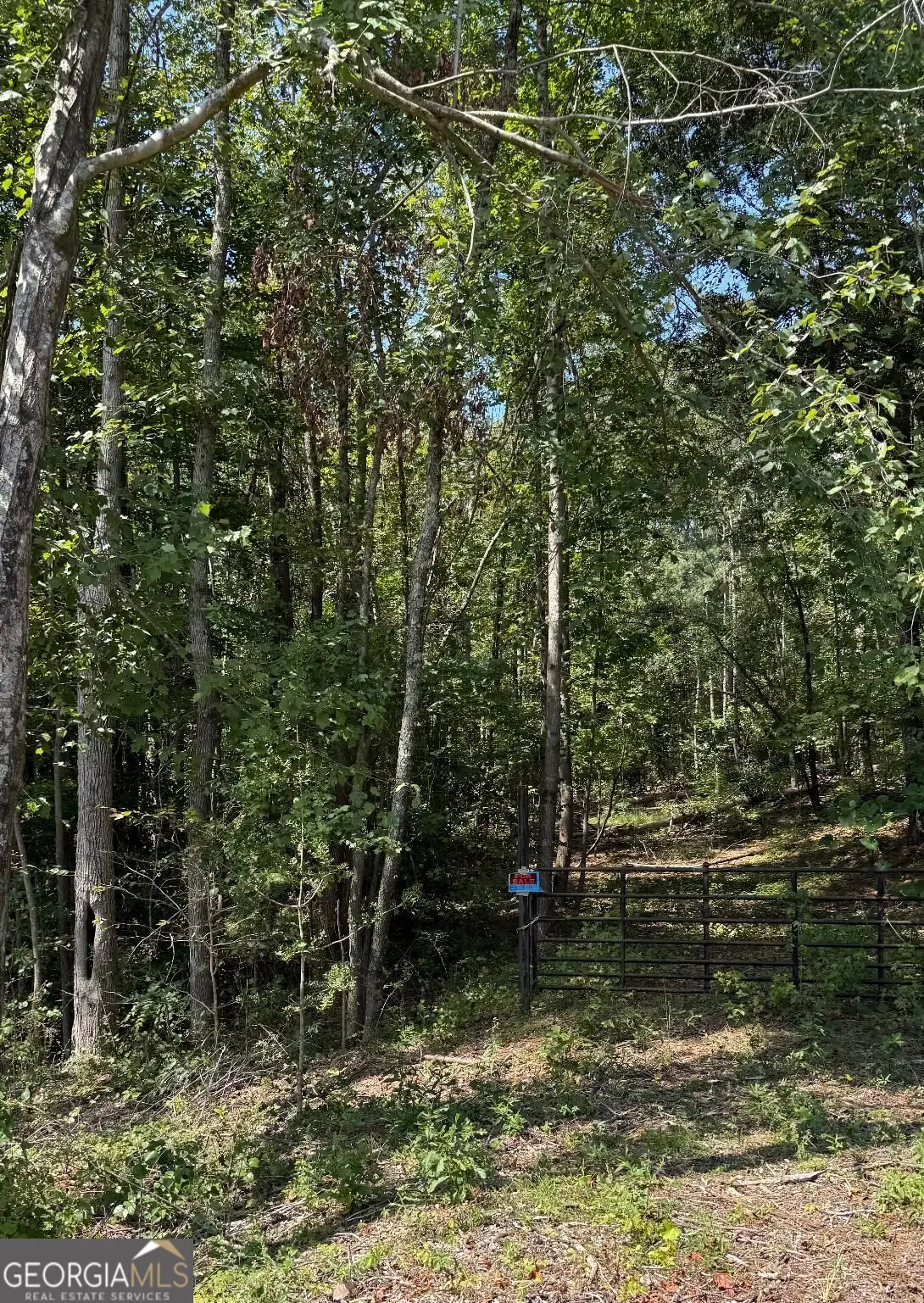 0 Highway 92 & 166, Douglasville, GA 30135 - #1