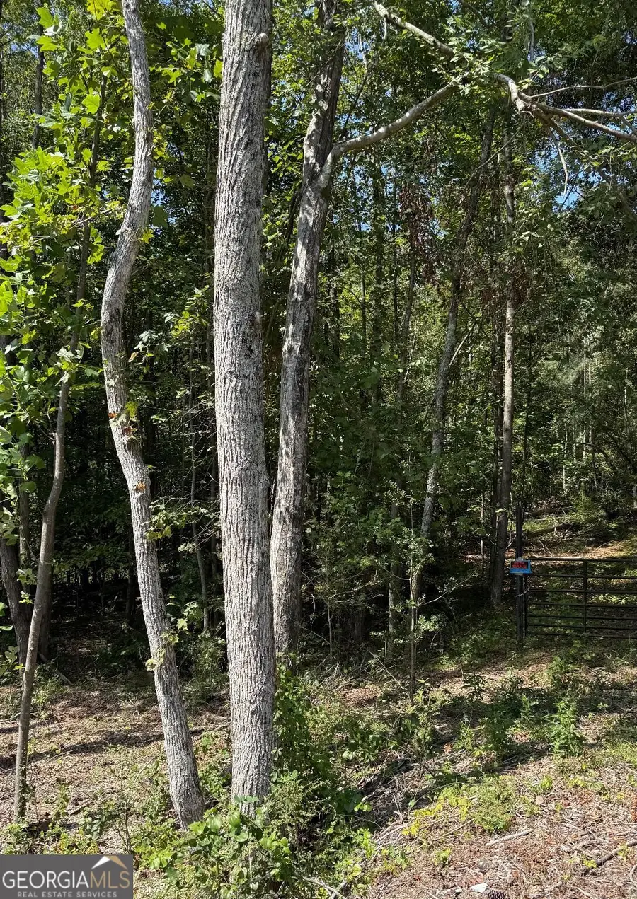 0 Highway 92 & 166, Douglasville, GA 30135 - #2