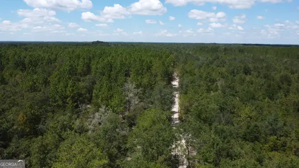 LOT 1 Porter Road, Pembroke, GA 31321