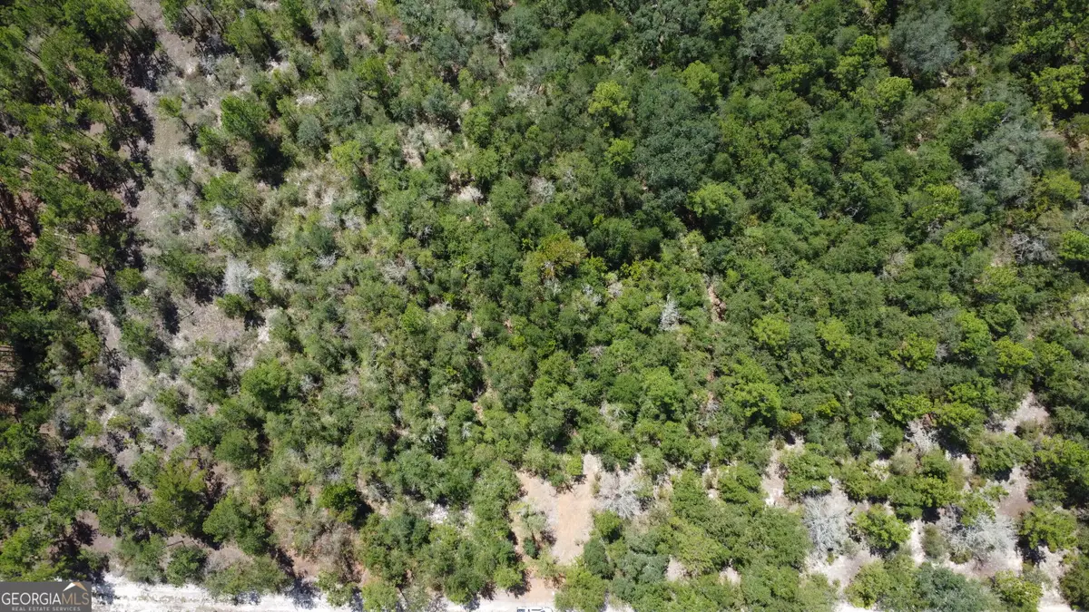 LOT 4 Porter Road, Pembroke, GA 31321 - #1