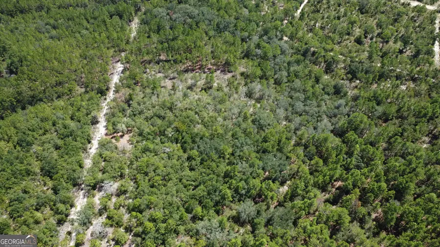 LOT 4 Porter Road, Pembroke, GA 31321 - #2