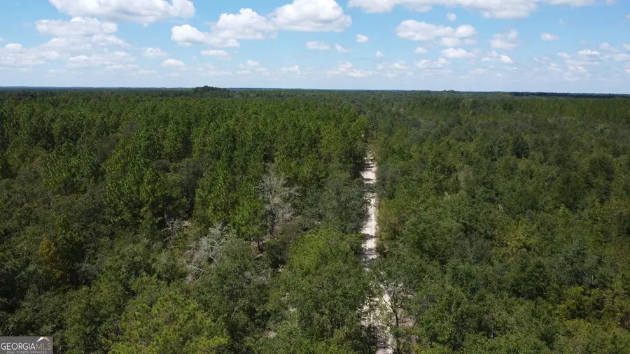 LOT 4 Porter Road, Pembroke, GA 31321 - #3