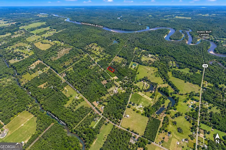 1.5 ACRES Mt Pleasant Road, Clyo, GA 31303 - #3
